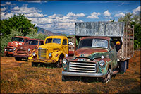 old trucks lined up