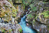 Colorado River Gooseneck