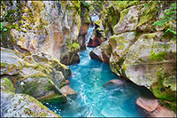 Colorado River Gooseneck