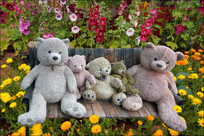 cute stuffed bears