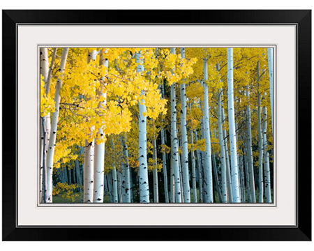 Rt 66 red rusty truck