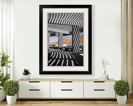 Southwest Cactus Landscape